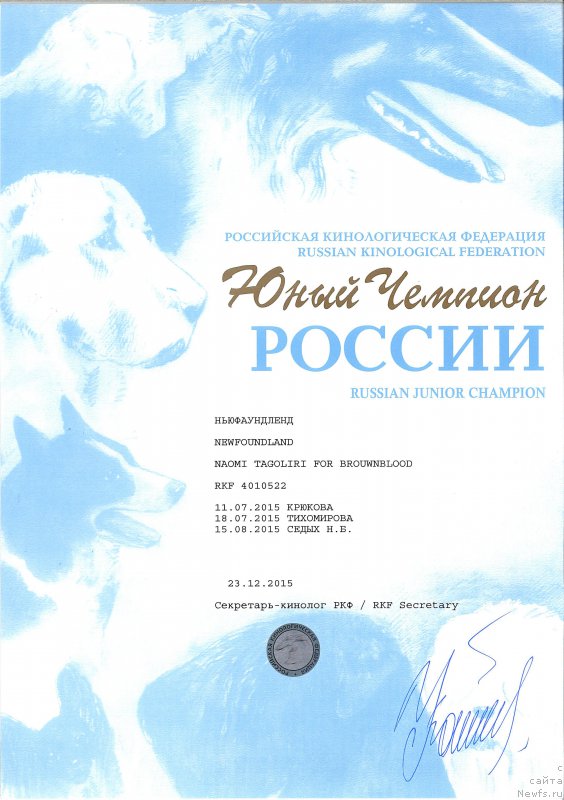 Фото: ньюфаундленд Naomi Tagoliri for Brouwnblood (Наоми Таголири фор Браунблад)