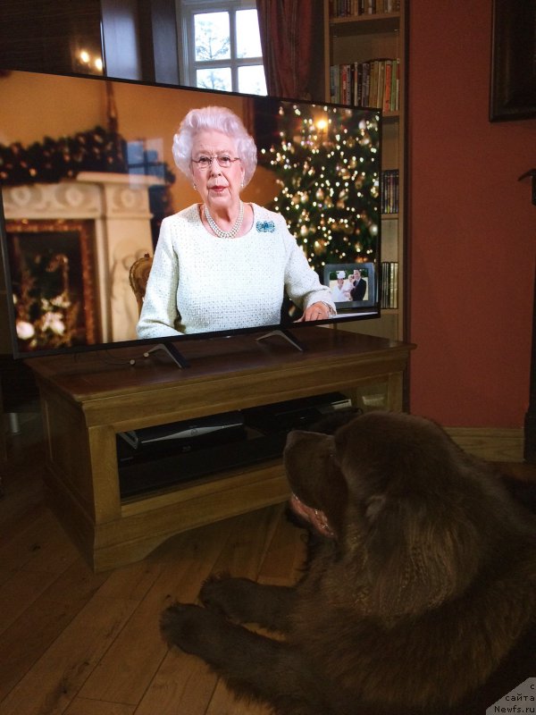 Фотография № 198158