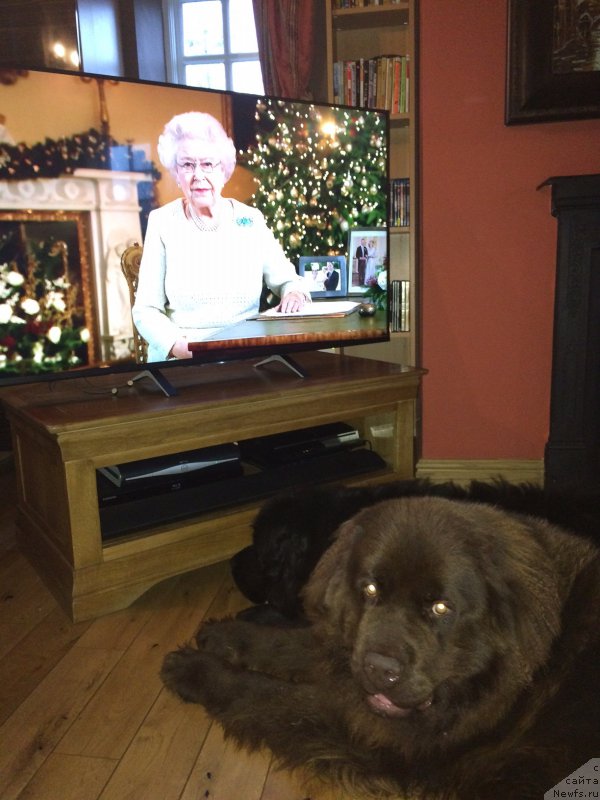 Фотография № 198160