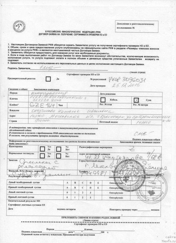 Фото: Natal'ya Smazchikova (Наталья Смазчикова)