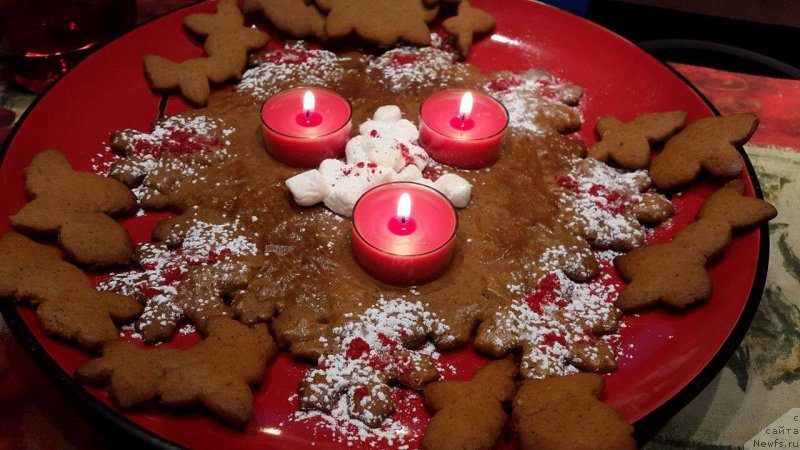 Фотография № 198181