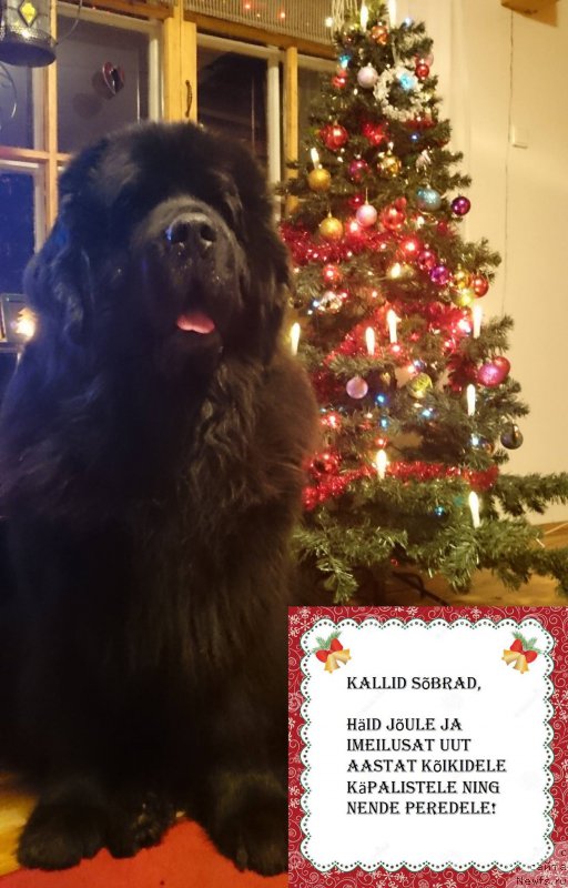 Фотография № 198182