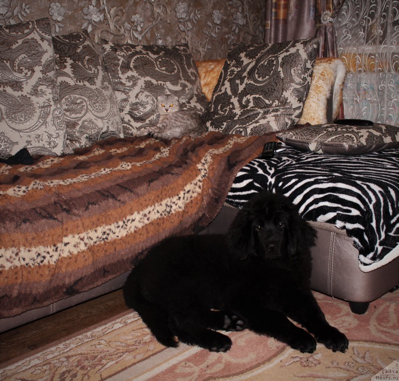 Фото: [d15052] и Ариша