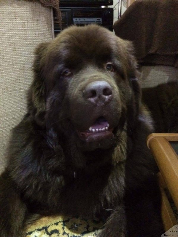 Фотография № 198284