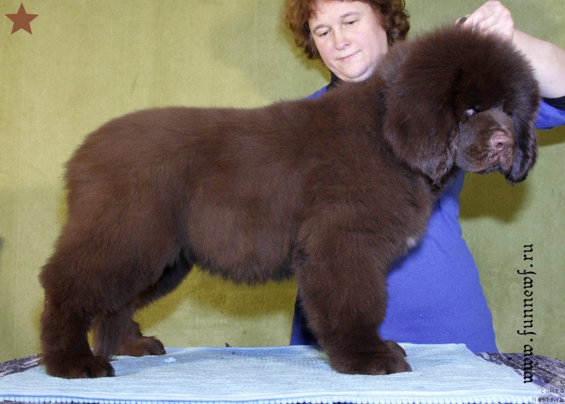 Фотография № 198286