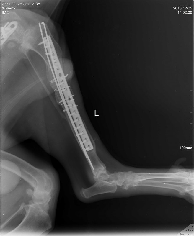 Фото: Lena Zyirina (Лена Зырина)