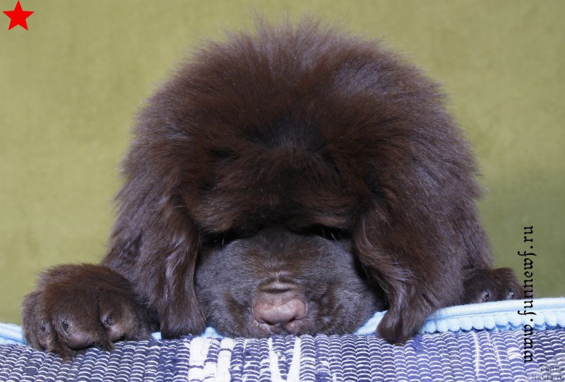 Фотография № 198298