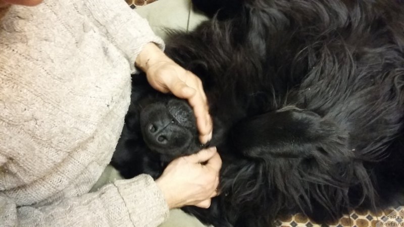 Фотография № 198300