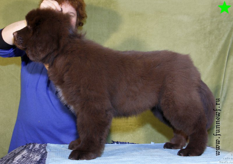 Фотография № 198309