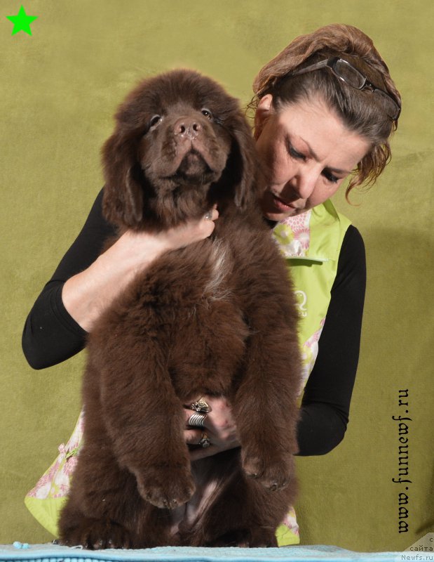 Фотография № 198312