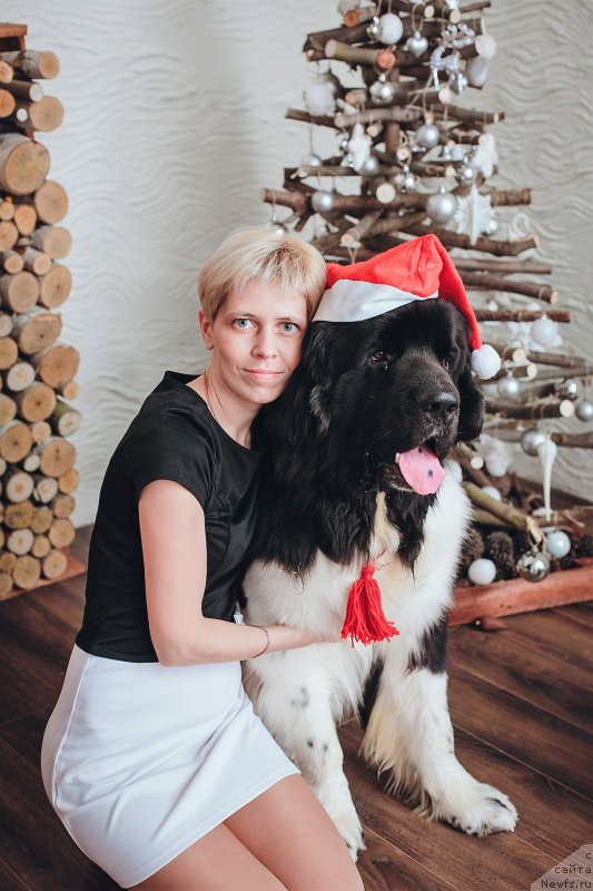 Фотография № 198313