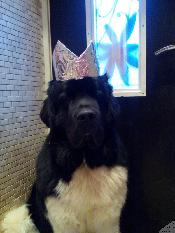 Фотография № 198314