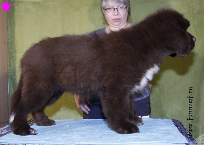 Фотография № 198315