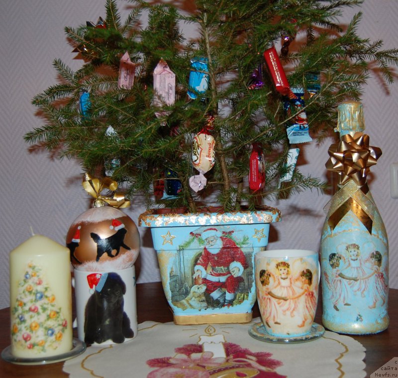 Фотография № 198328