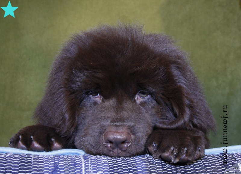 Фотография № 198337