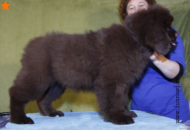 Фотография № 198339