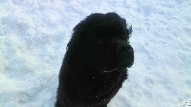 Фотография № 198350