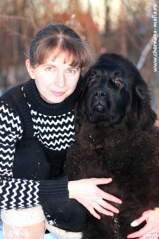 Фото: ньюфаундленд Chernaya Mafia Аngel Among Us (Черная Мафия Ангел Амонг Ус), YUliya Naumova (Юлия Наумова)