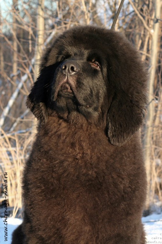 Фотография № 198380