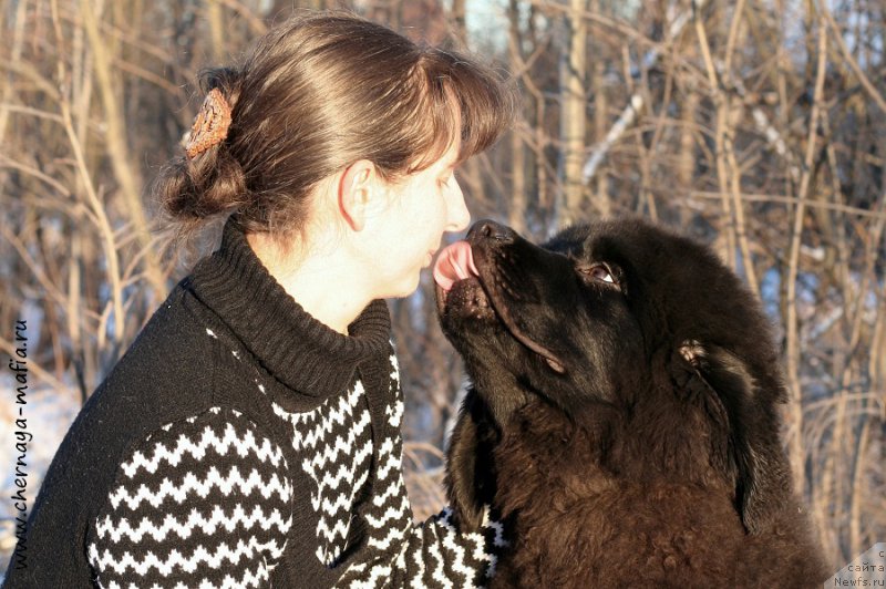 Фотография № 198383