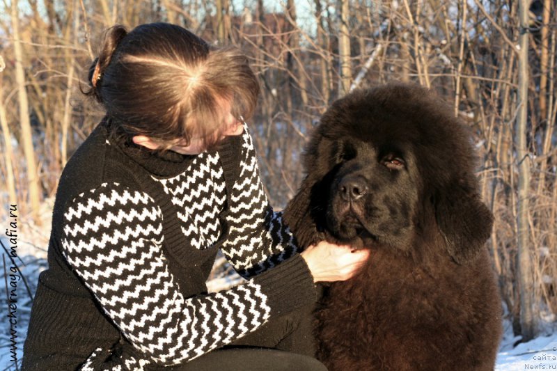 Фотография № 198384