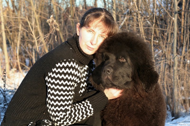 Фотография № 198385