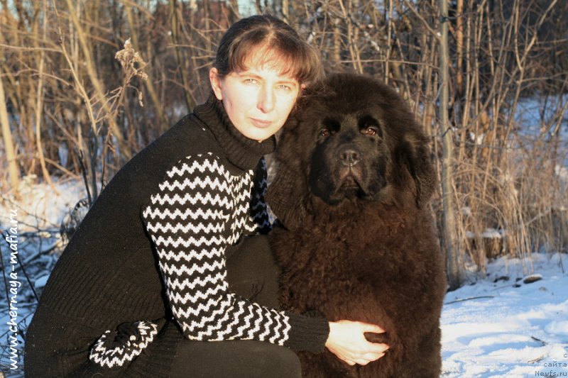 Фотография № 198386