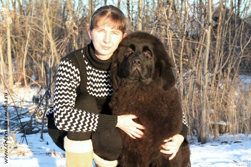 Фотография № 198387