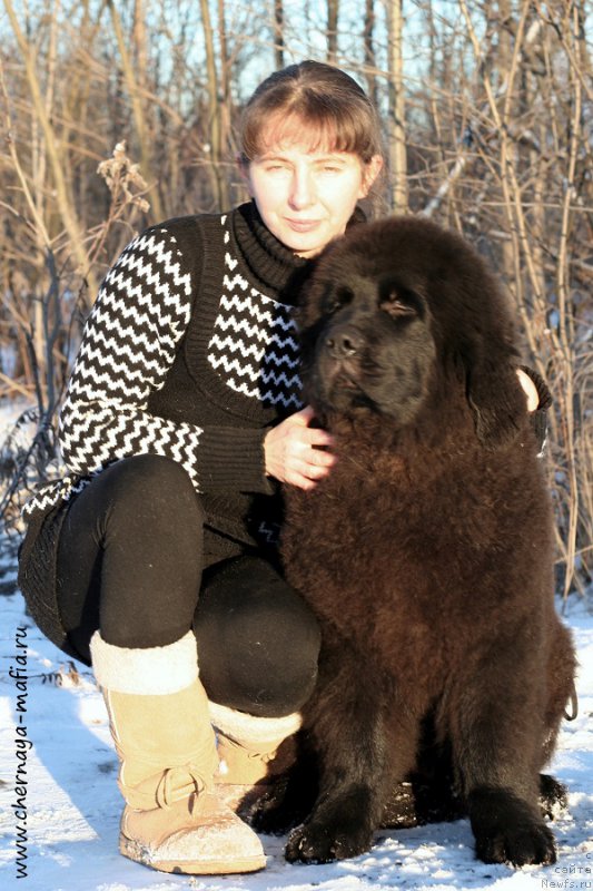 Фотография № 198390