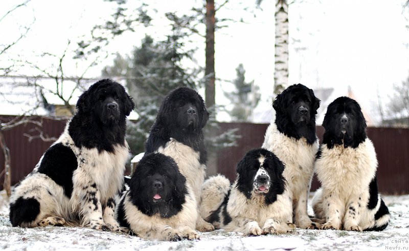 Фотография № 198396