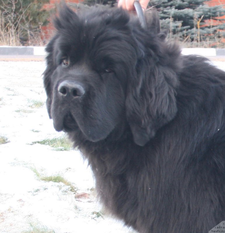 Фотография № 198410