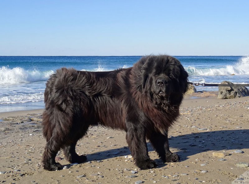 Фотография № 198436