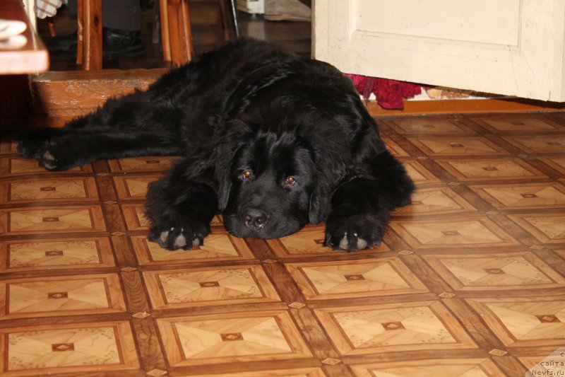 Фото: Aleksandr Kryuchkov (Александр Крючков)