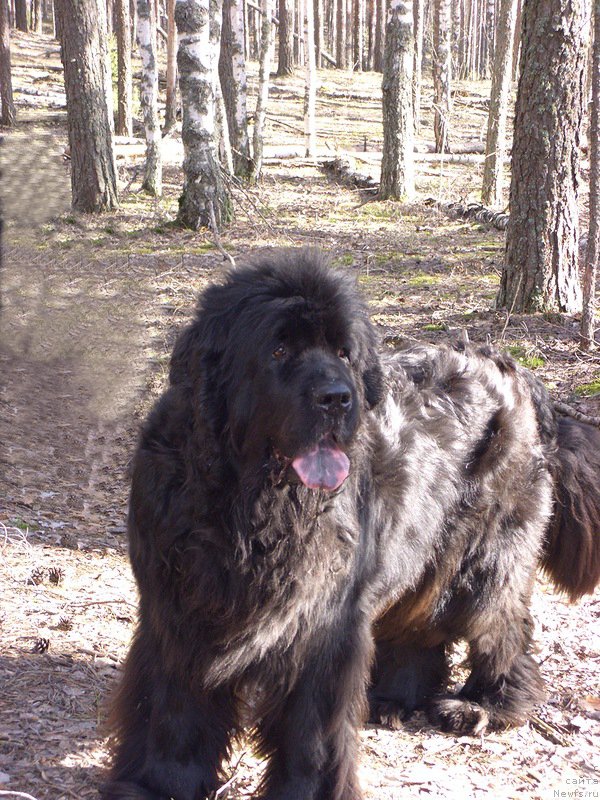 Фотография № 198459