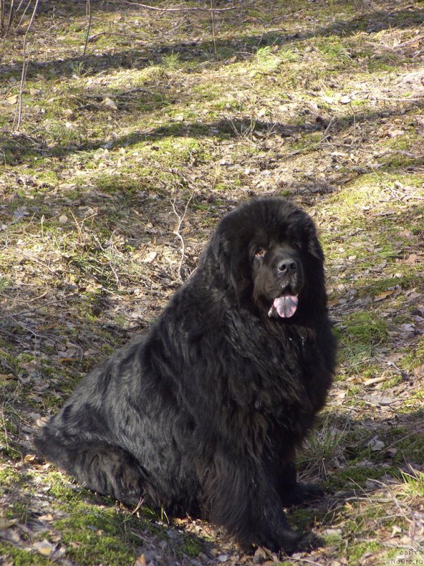 Фотография № 198460