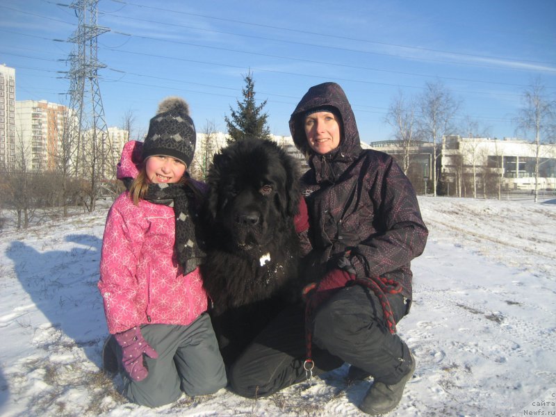 Фотография № 198461