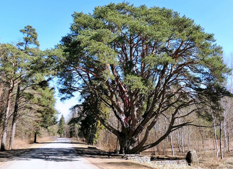 Фотография № 198463