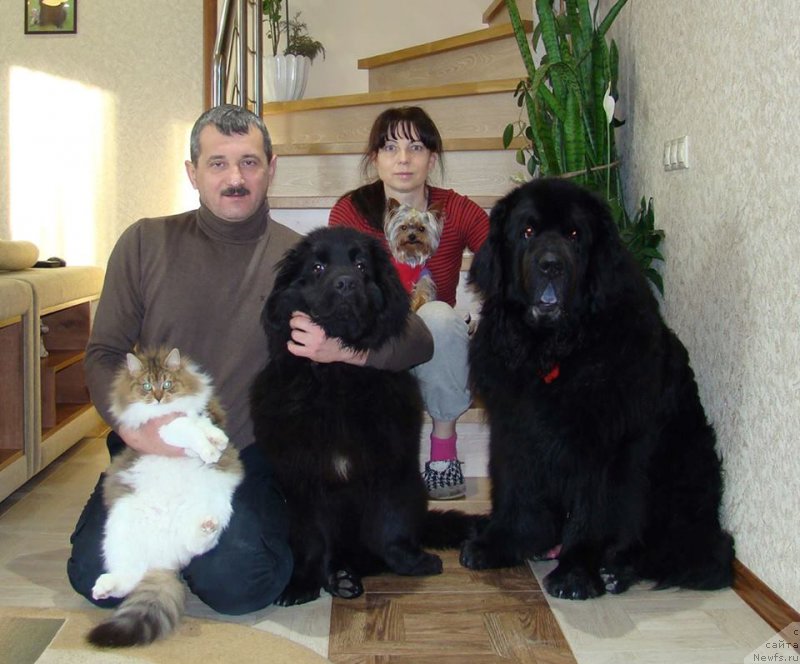 Фотография № 198468