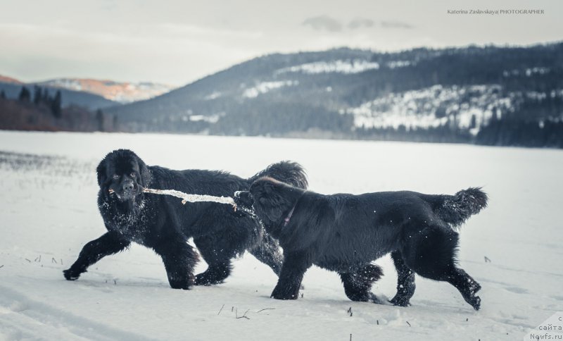 Фотография № 198470