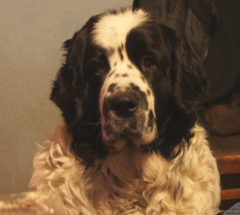 Фотография № 198474