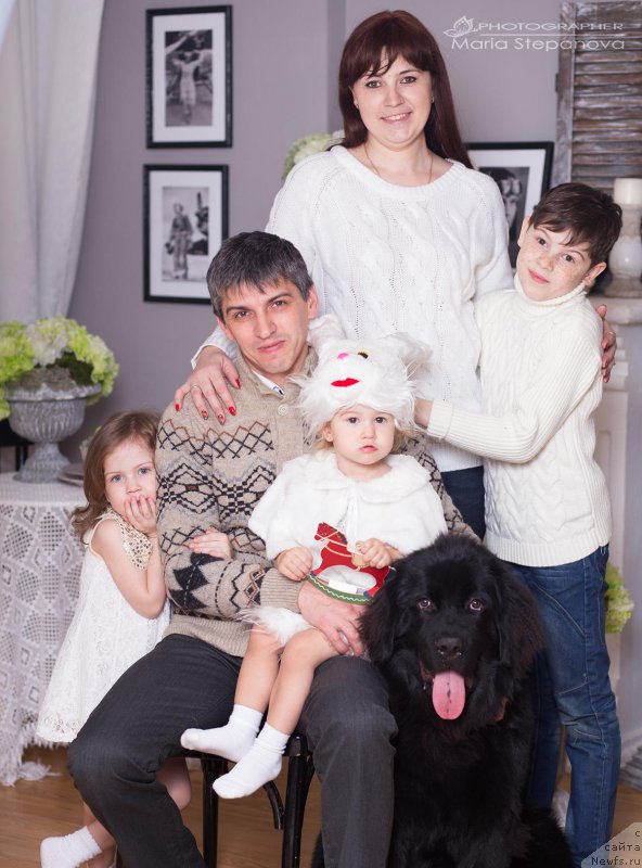 Фото: Sergey Naumov (Сергей Наумов), ньюфаундленд Polin Rut (Полин Рут)