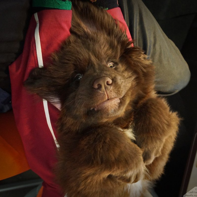 Фотография № 198480