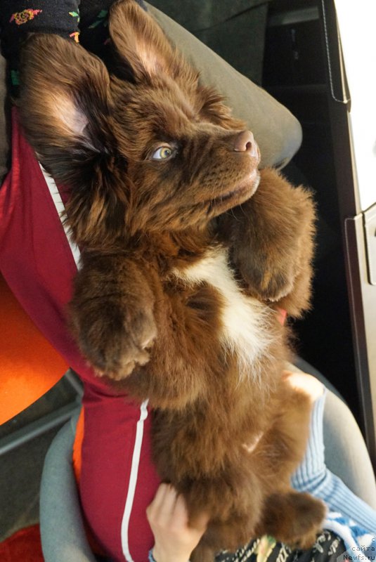 Фотография № 198482