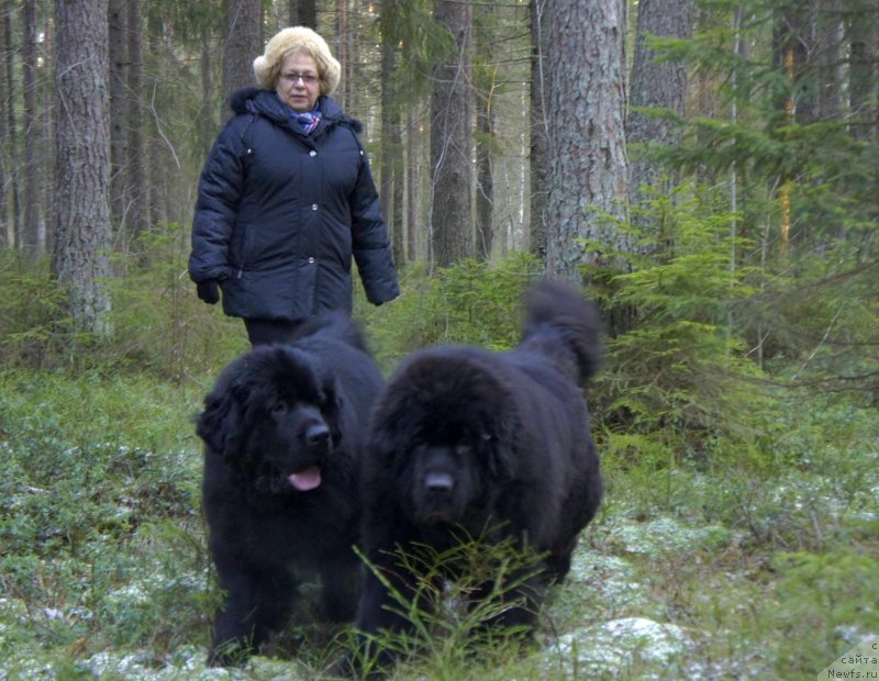 Фотография № 198487