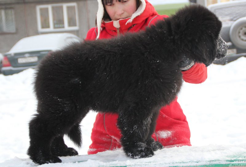 Фотография № 198498