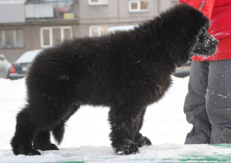 Фотография № 198499