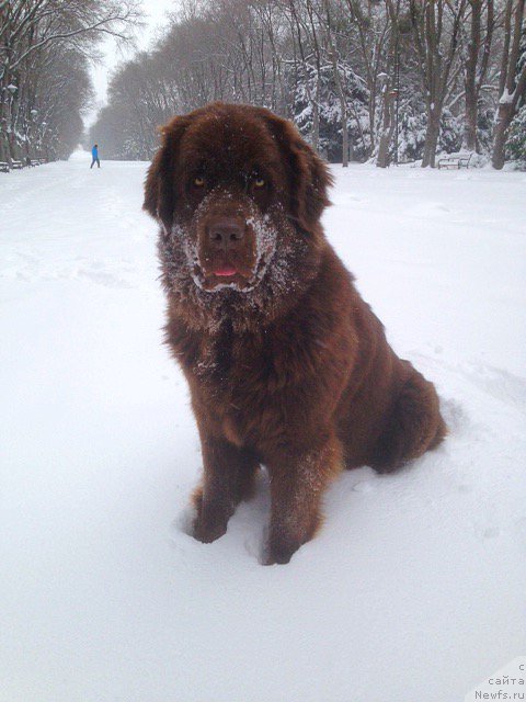 Фотография № 198519