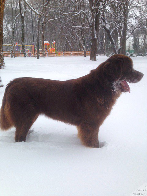 Фотография № 198520