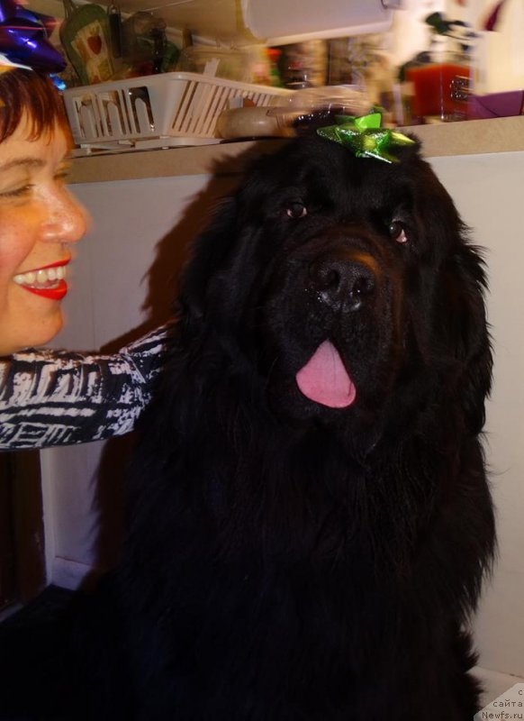 Фотография № 198525