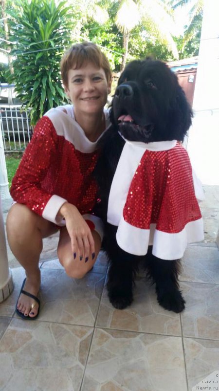 Фотография № 198526